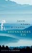 Brennendes Eis