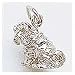 Dog, Shar-Pei Charm