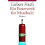 Ein Feuerwerk f�r Matzbach: Ein Baltasar-Matzbach-Roman