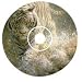 Software : Wild Spirit by John Seerey-Lester