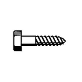 1/2 X 10 GALV. LAG BOLT Box Qty. / 1