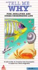 VHS : Tell Me Why:Fishshellfish Underwater
