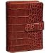 Handspring Brown Embossed Alligator Calf Case