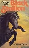 Son of the Black Stallion