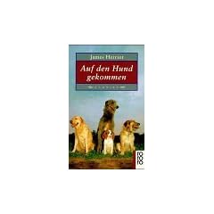 Auf den Hund gekommen.