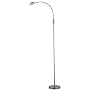 Eternity LED Gooseneck Floor Lamp