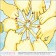 SQUEEZE!! (CCCD)