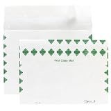 Quality Park R4640 Quality Park Tyvek Open Side Exp Envelopes, 1st Class, 10x15x2, White, 100/Ctn