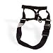 Kitchen & Housewares : Coastal Halti Headcollar in Size 2