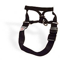 Childrens Toyshop  Pet Supplies : Coastal Halti Headcollar in Size 2