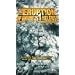 Large Format - The Eruption of Mount St. Helens [VHS]