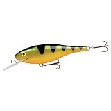 Rapala(ラパラ) Rapara Giant Lure RGL-RH RGL-RH