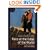 Face at the Edge of the World (Clarion fiction)