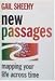 New Passages: Mapping Your Life Across Time
