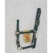 Hamilton Deluxe 3/4" Nylon Horse Halter with Adjustable Chin and Snap, Dark Green, Weanling/Large Pony (200-300 lbs)