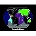 Landforms and Living Patterns: Geography Basics (VHS)