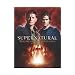 Supernatural: The Official Companion Season 5