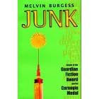 Junk (Puffin Teenage Fiction)