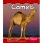 Camels (Pebble Books)