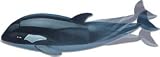 Innovative Toy Swimming Whale/Orca