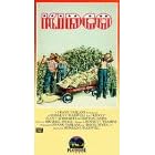 Kidco [VHS]