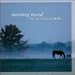 Morning Mood: The Soft Sounds of Grieg