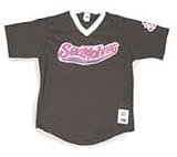 Minor League Baseball Erie Seawolves V Neck Adult Jersey