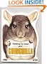 Getting to Know Your Chinchilla
