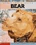 Bear: Animal Lore and Legend : American Indian Legends (Animal Lore & Legend)