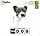 THE DOG�`Papillon
