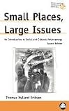 Small Places, Large Issues - Second Edition: An Introduction to Social and Cultural Anthropology (Anthropology, Culture and Society)