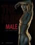 The Nude Male: 21st Century Visions