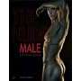 The Nude Male: 21st Century Visions