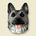 Refrigerator Magnets - German Shepherd Black / Silver