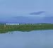 Triosence -