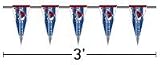 Columbus Blue Jackets Pennant String (3 foot)