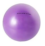UPC 022643008472 product image for Gold's Gym Anti-Burst Core Ball 9
