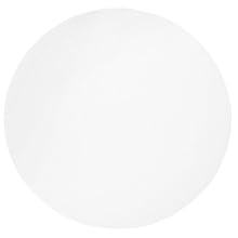 Whatman Polycarbonate Nuclepore Track-Etched Membrane Filter