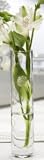 Rose-cut Bud Vase