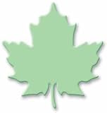 Paper Shapers Whale Punch - Maple Leaf