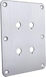 Dayton DBPP-SI Double Binding Post Plate Silver Anodized
