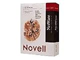 Novell NetWare Small Business - ( v. 4.2 ) - complete package - 1 server, 5 users - CD - English