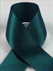 Schiff Ribbons 244-1.5 3/8-Inch Polyester Single Face Satin Ribbon, 20-Yard, Hunter Green