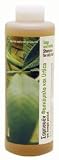 Korres Sage and Nettle Shampoo for Oily Hair