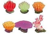 SUPER FLEXIBLE CORALS MEDIUM PREPACK 6PC