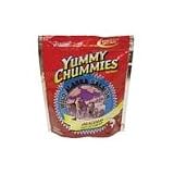 Arctic Paws Yummy Chummies Wild Alaska Salmon Original Soft n Chewy Value Pack Dog Treats (1.25-lb pouch)