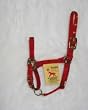 Hamilton Deluxe 3/4" Nylon Horse Halter with Adjustable Chin and Snap, Red, Weanling/Large Pony (200-300 lbs)