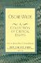 Oscar Wilde: A Collection of Critical Essays