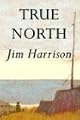 True North