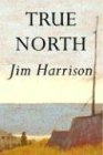 True North